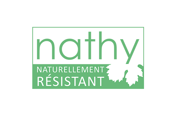 Variété résistante Nathy